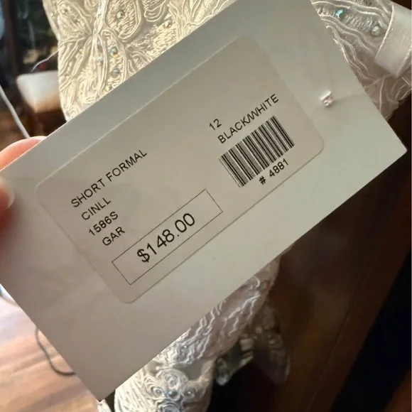 Elegant Lace Black and White Dress - Picture 4 of 6